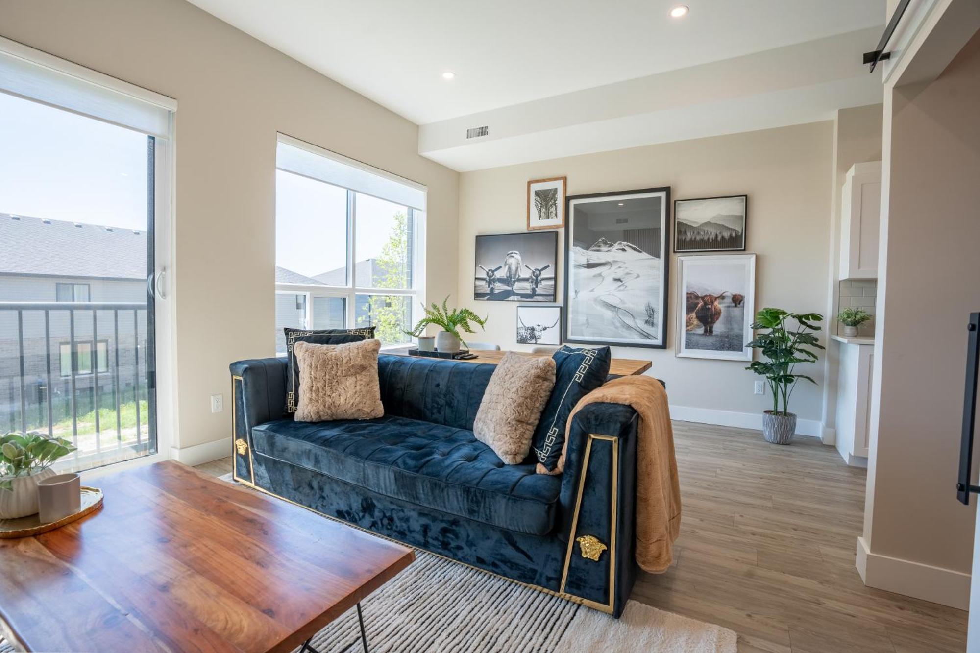 Sleek Brand New 1 Bedroom Cozy Luxury Apartment Chatham-Kent