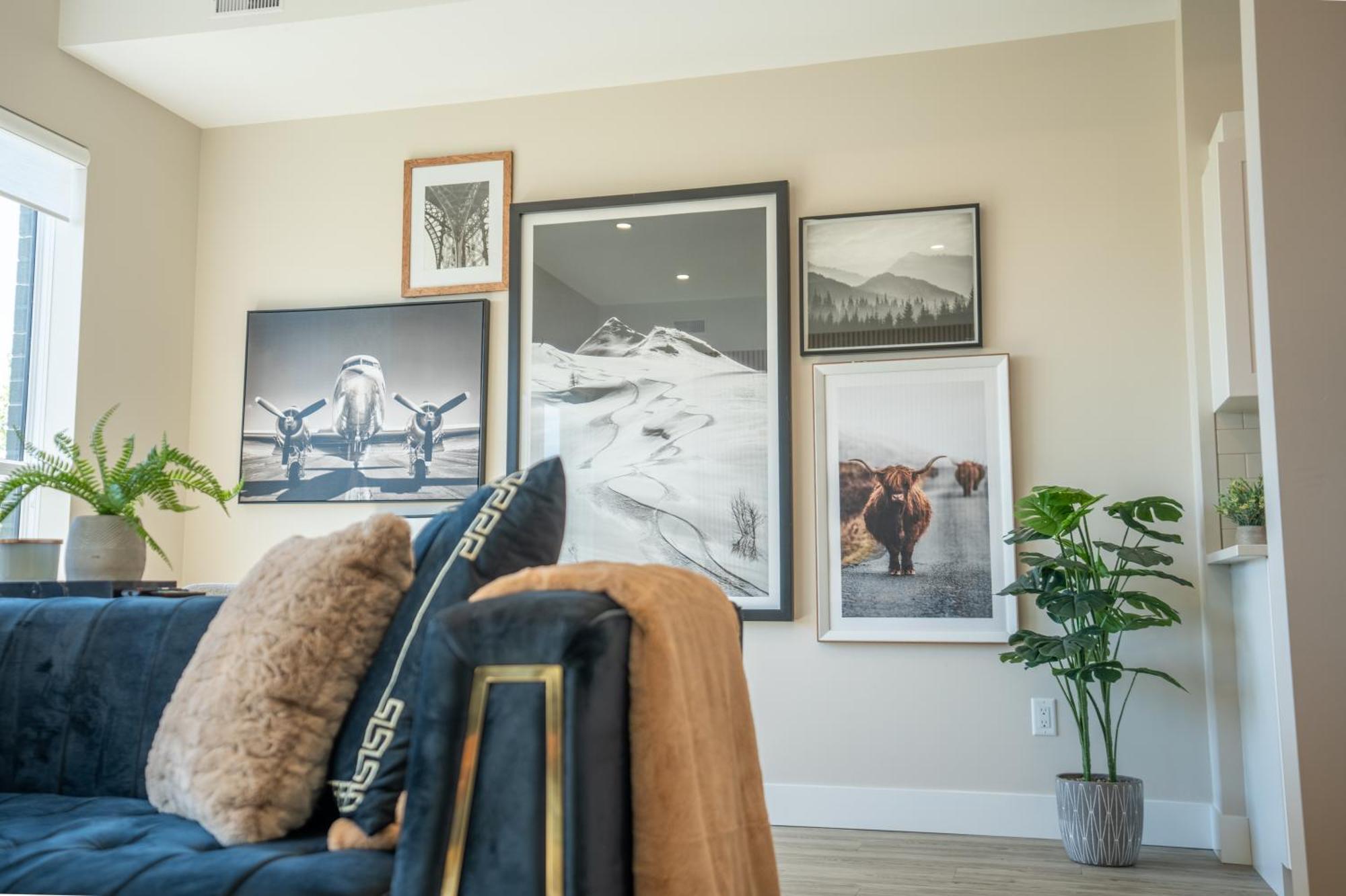 Sleek Brand New 1 Bedroom Cozy Luxury Chatham-Kent