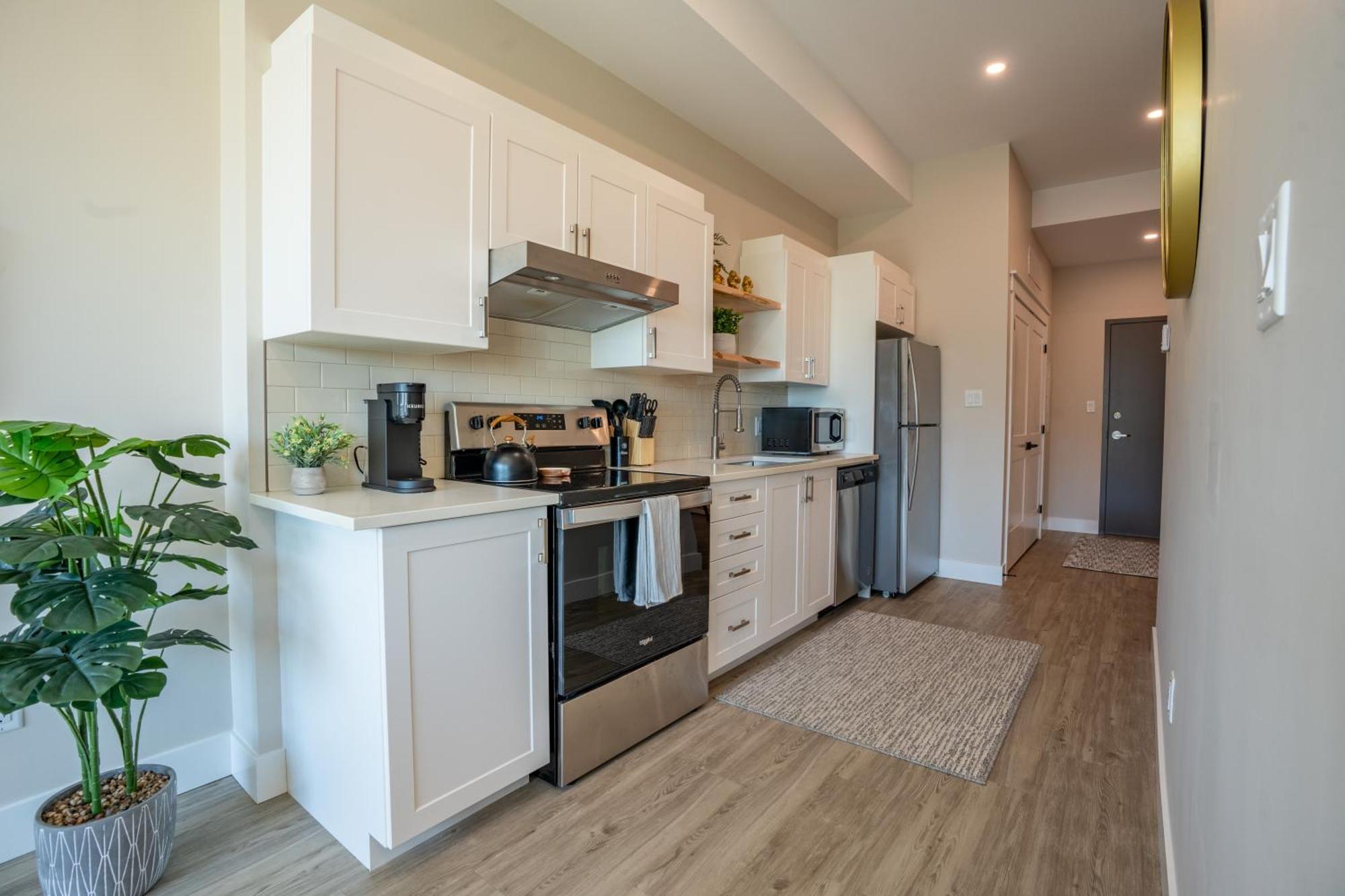 Sleek Brand New 1 Bedroom Cozy Luxury Apartment Chatham-Kent